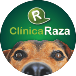 Clínica Raza