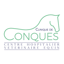 Clinique de Conques