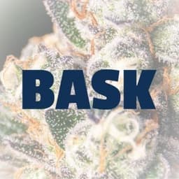Bask
