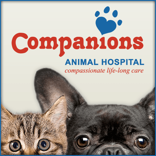Companions Team color logo