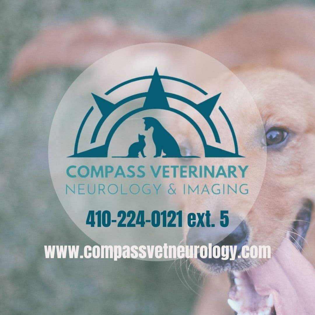 Compass Veterinary Neurology & Imaging color logo
