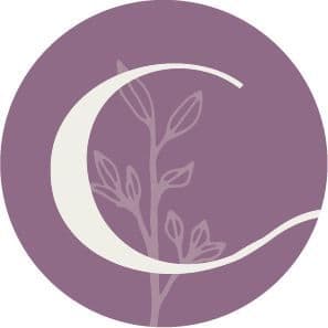 Concept Pelvic Health color logo