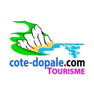 Cote-dopale color logo