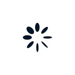 Cryptostash color logo