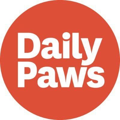 DailyPaws color logo