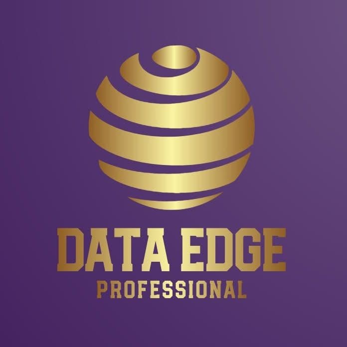Data Edge Professional LLC color logo