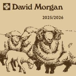 David Morgan llc