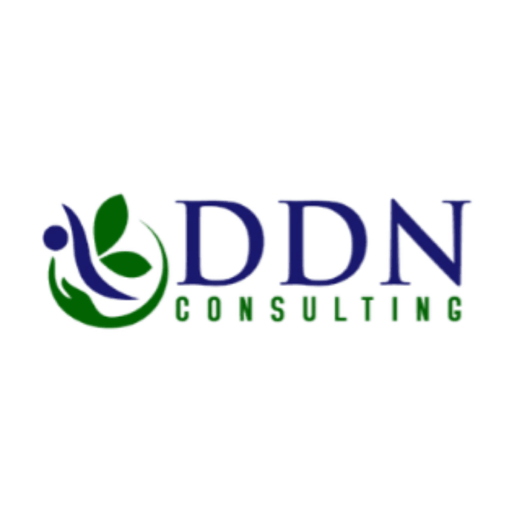 DDN Consulting Services color logo