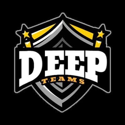 DeepTeams color logo