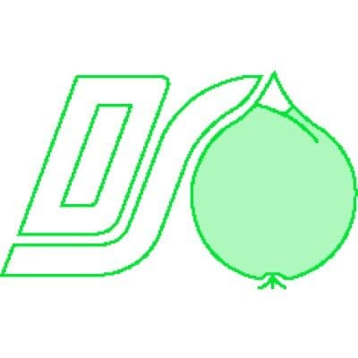 Derck Schipper Bloembollen Export B.V. color logo