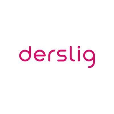 DersLig color logo