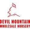 Devil Mountain Wholesale Nursery color logo
