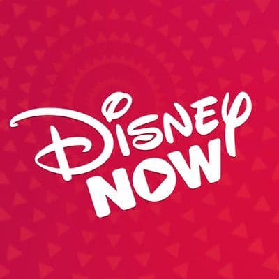 Disney NOW color logo