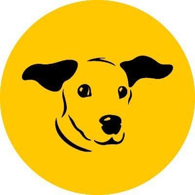 Dogs Trust Ireland color logo