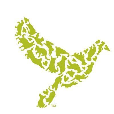 DoveLewis color logo