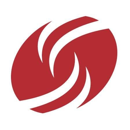 Dress for Success color logo