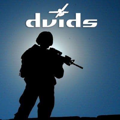 DVIDSHub color logo