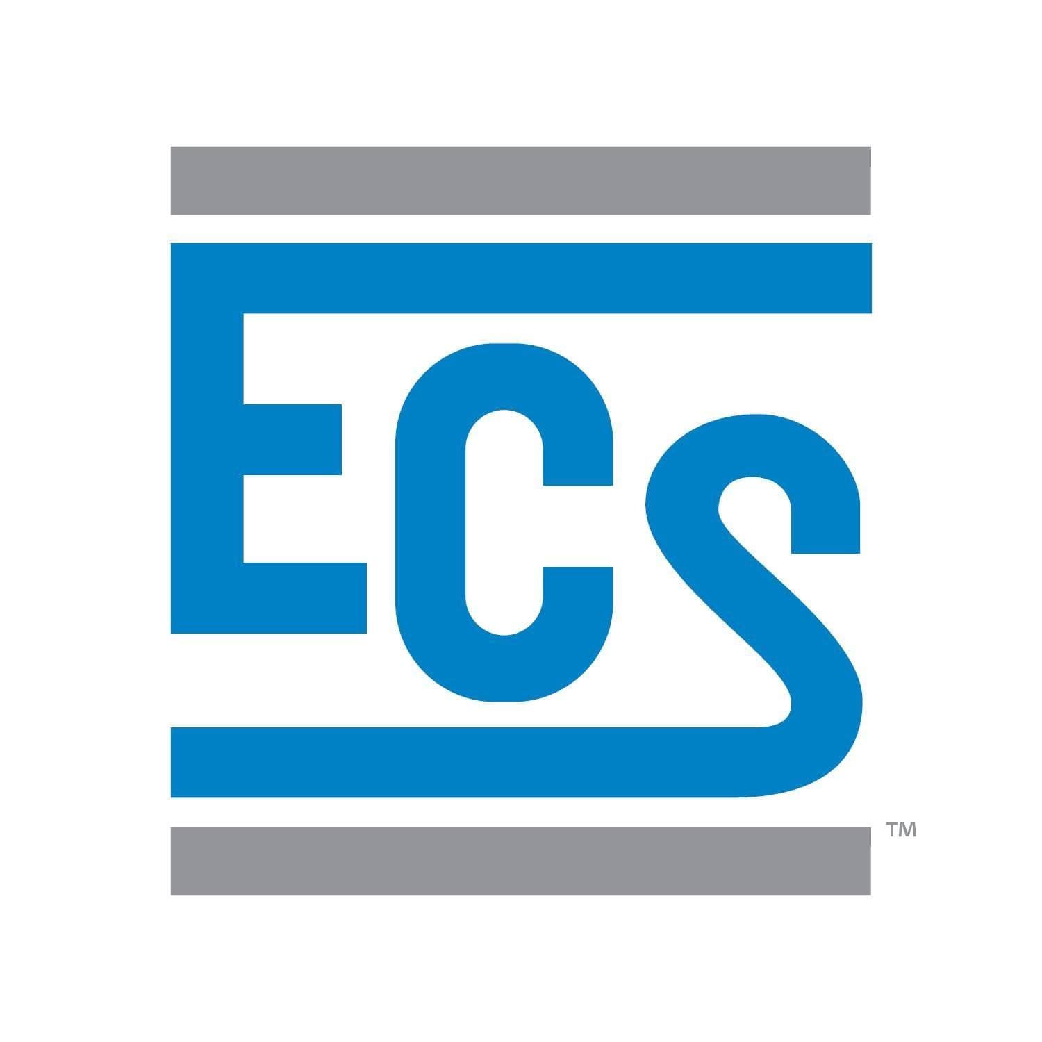 ECS Group of Companies color logo