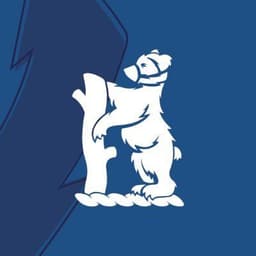 Bears