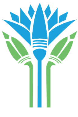 Egypt Go Green Network