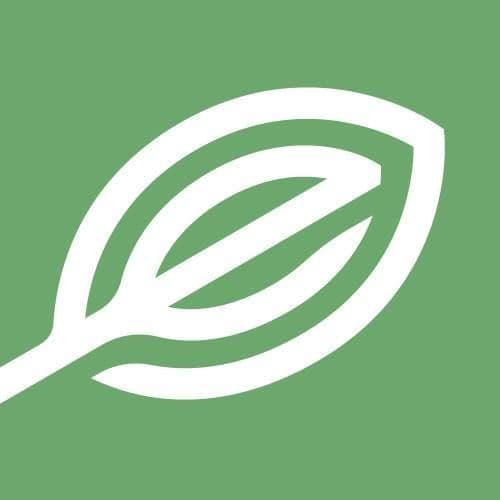 Elevate Holistics Medical Marijuana Doctors color logo