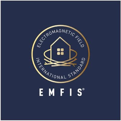 EMFIS color logo
