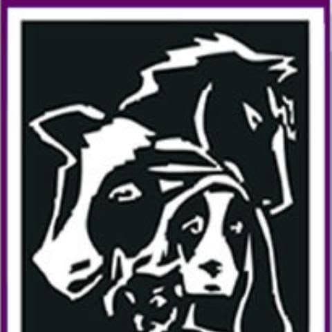 Eudora Animal Hospital color logo