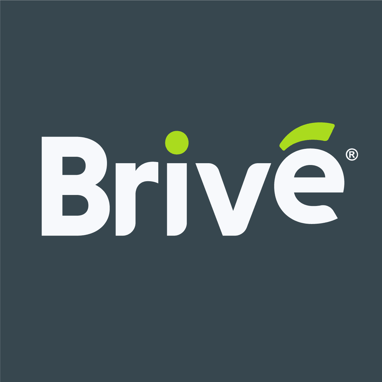 Brivé Soluciones color logo