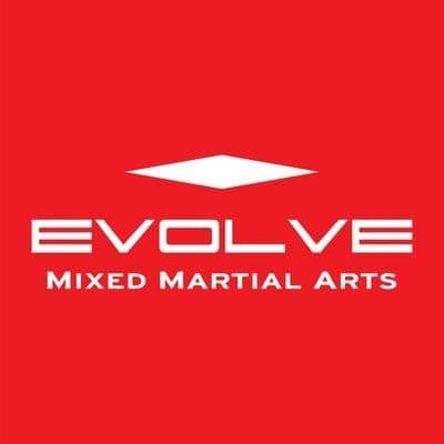Evolve MMA color logo