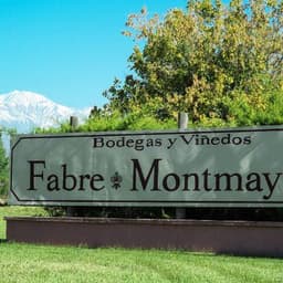 Fabre Montmayou
