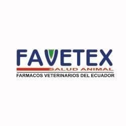 Favetex S.A. color logo