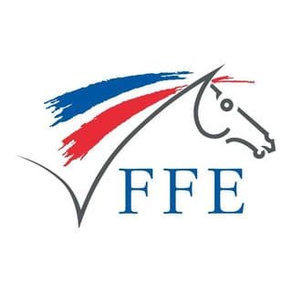 FFE color logo