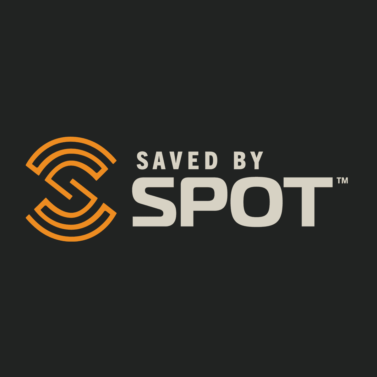 SPOT LLC color logo