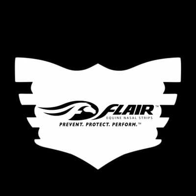 FLAIR Strips color logo