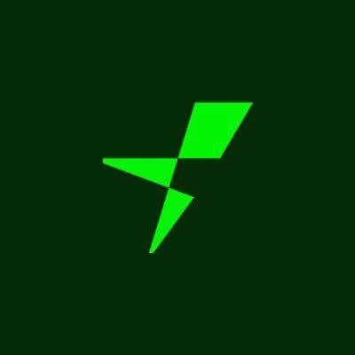 Flashnet color logo