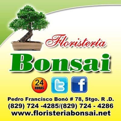 Floristería Bonsai RD color logo