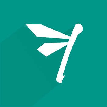 Flapper Tecnologia S.A color logo