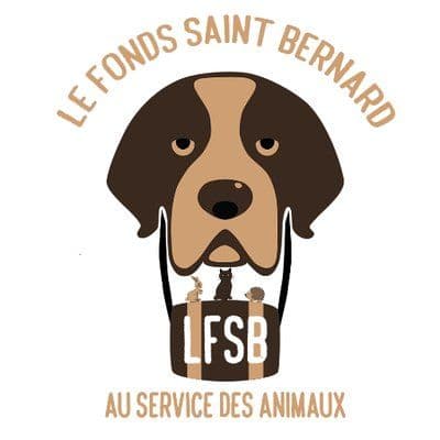 Le Fonds St Bernard color logo