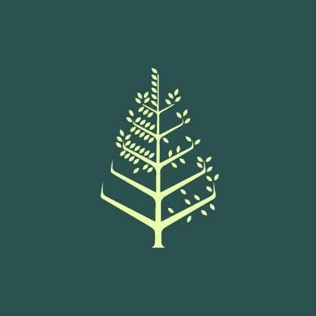 Four Seasons color logo