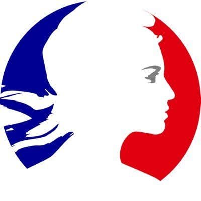 Embassy of France in the U.S. color logo