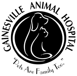 Gainesville Animal Hospital