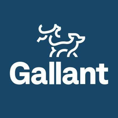 Gallant color logo