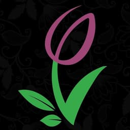 Gardentulipflowers.Ae