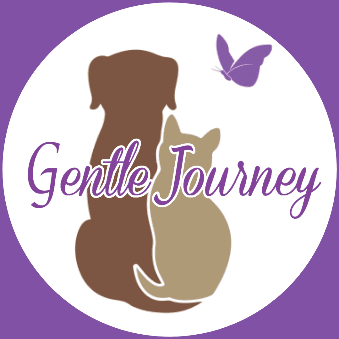 Gentle Journey AZ color logo