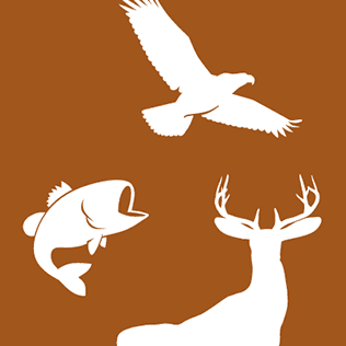 Georgia DNR Wildlife color logo