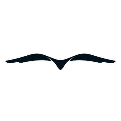 Gerando Falcões color logo