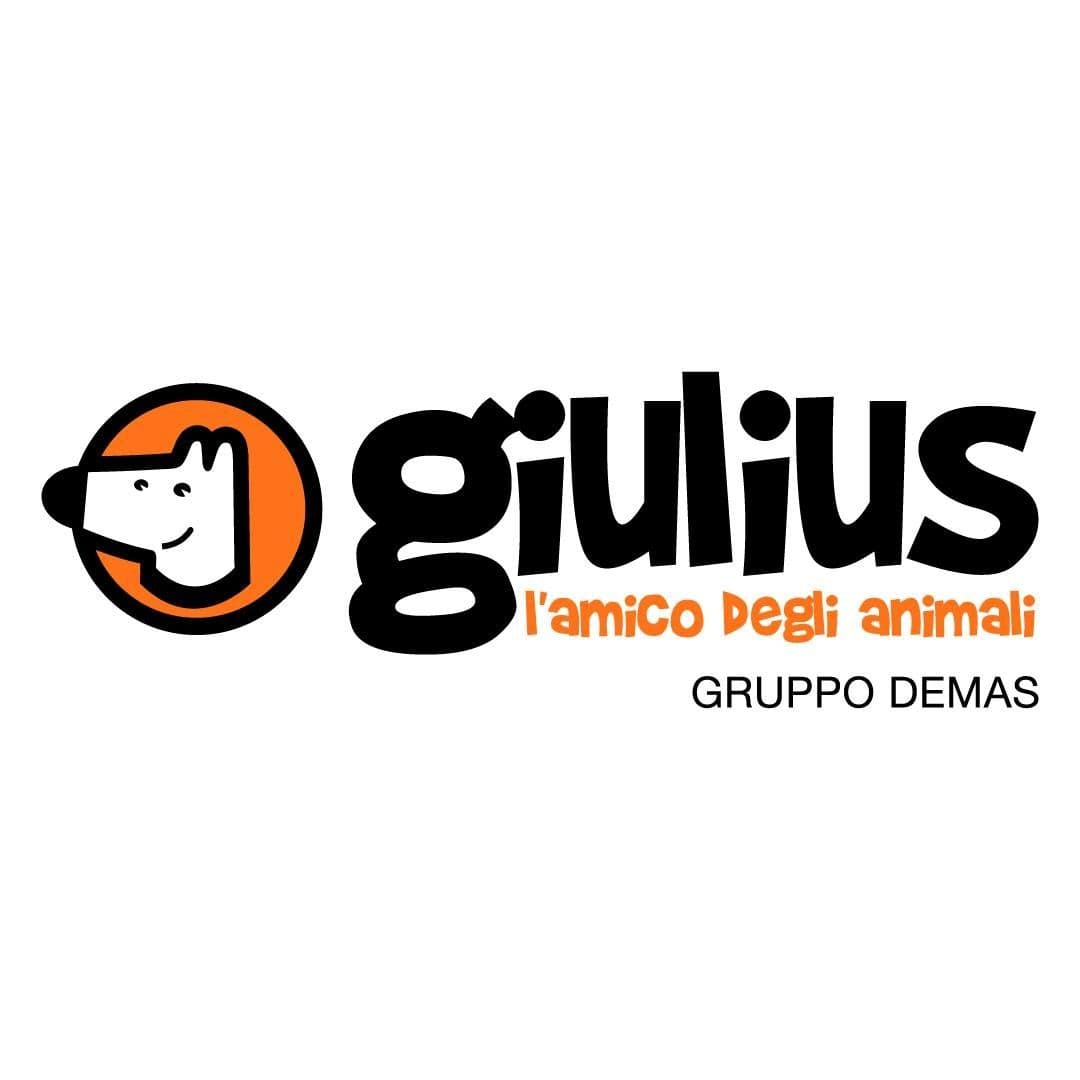Giulius color logo