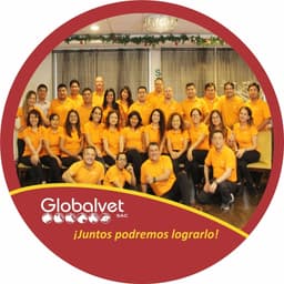 Globalvet Group