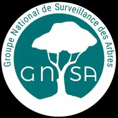 GNSA  Groupe National de Surveillance des Arbres color logo