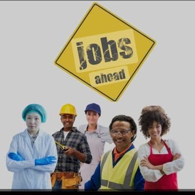 Jobs Jobs Zambia color logo